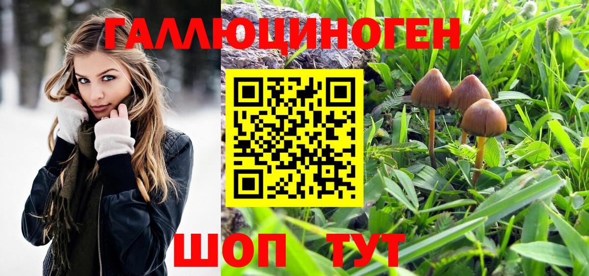 Галлюциногенные грибы Magic Shrooms Ухта